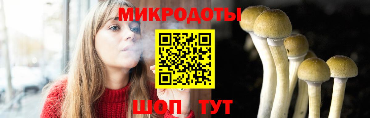 Псилоцибиновые грибы Psilocybine cubensis Донецк